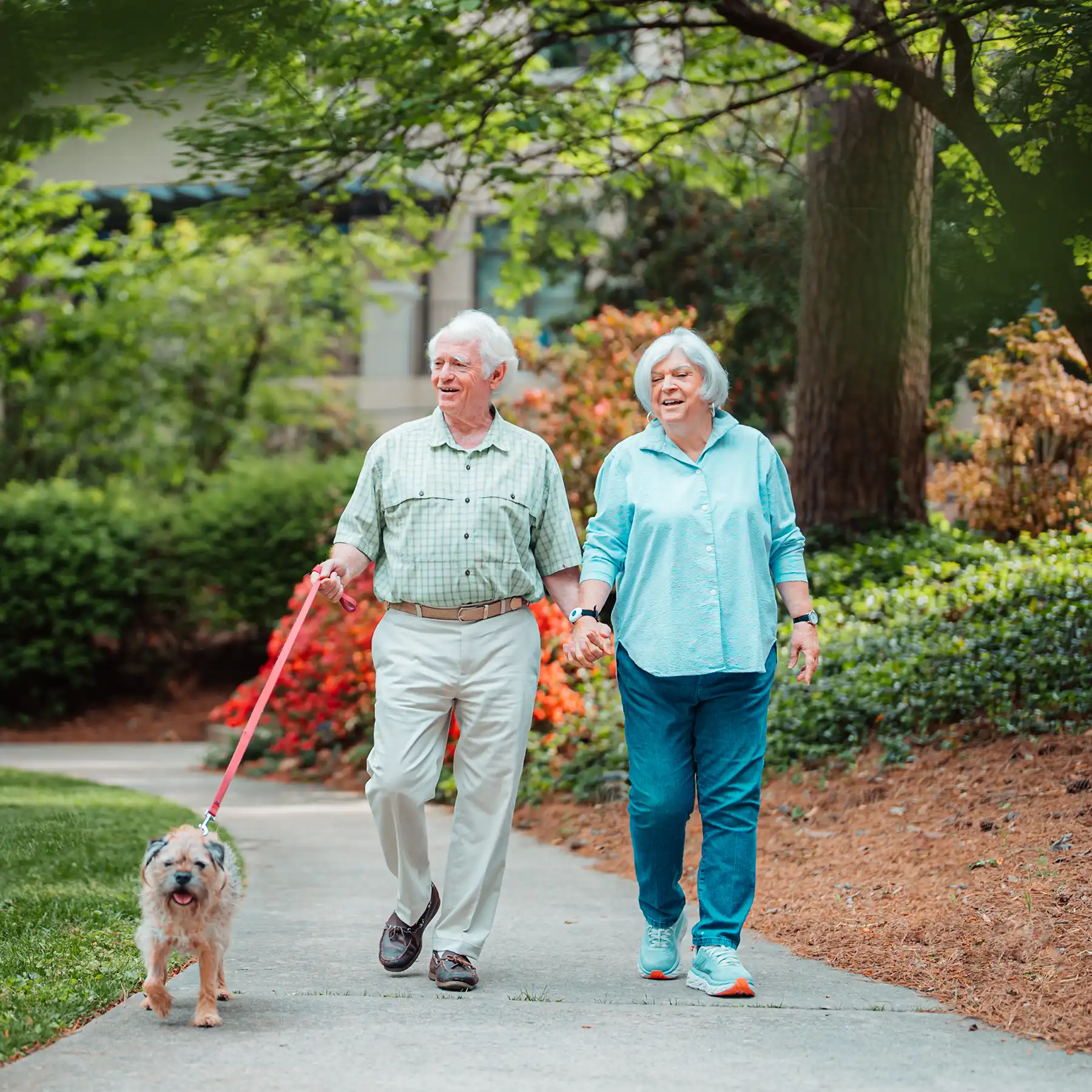 A senior couple walks down a paved path in a garden area with a small dog