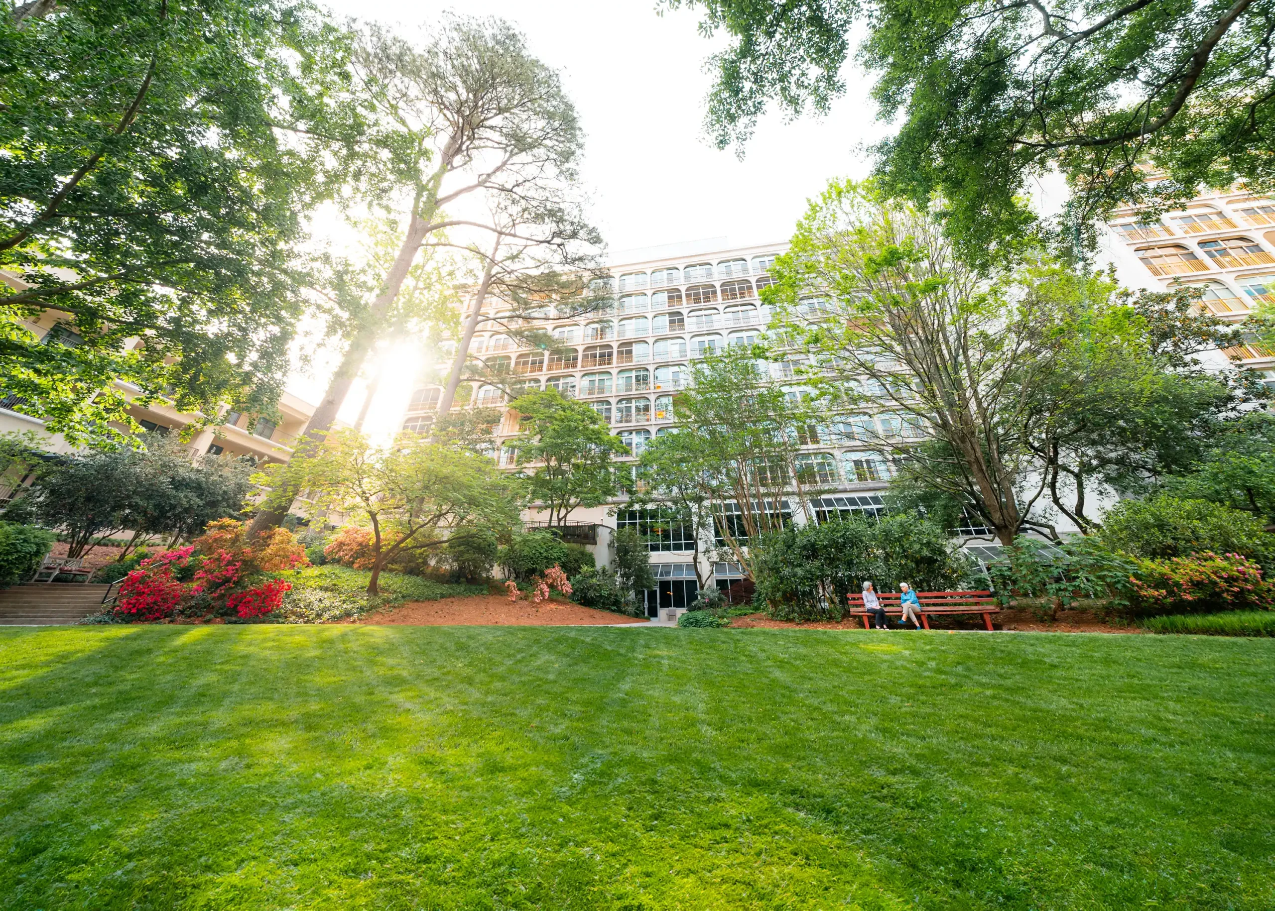 An exterior courtyard with lush grass