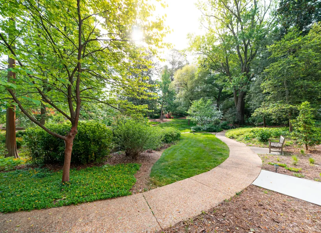 An evenly paved path through a garden park