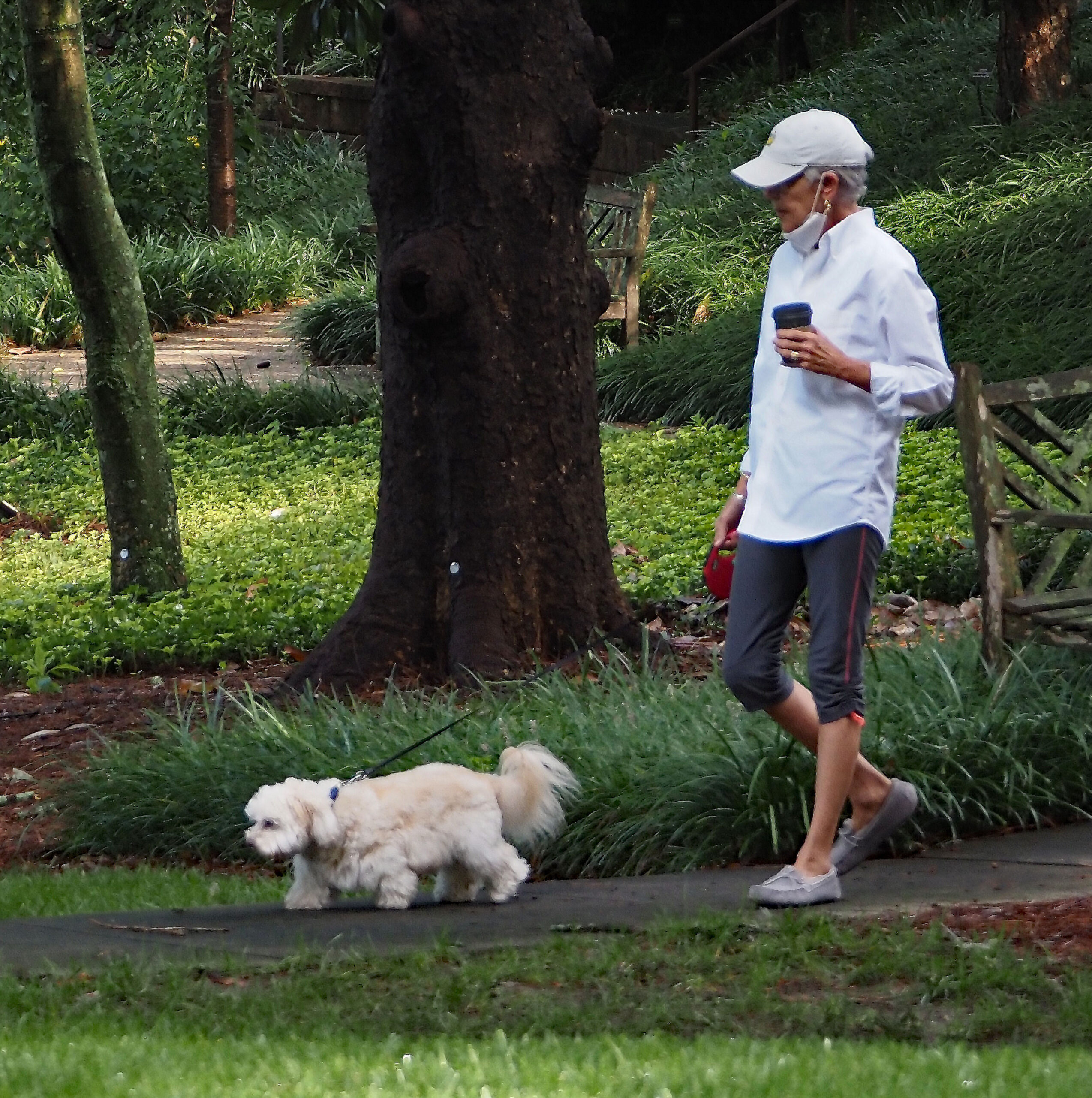 A Resident & Her Dog: Welcome Additions to the Garden