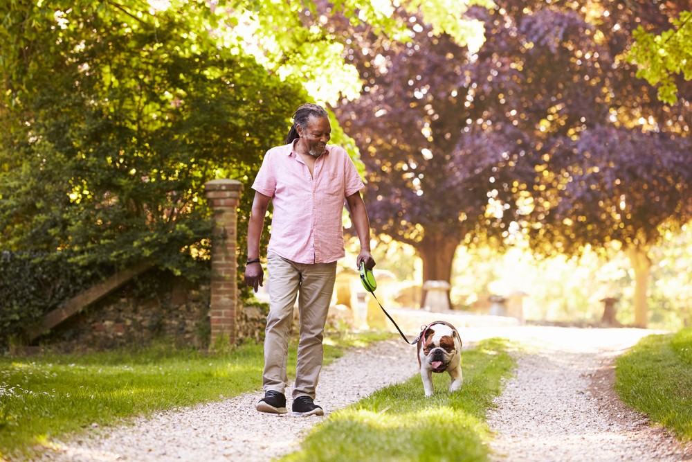 Why Is it Beneficial for Seniors to Have Pets?