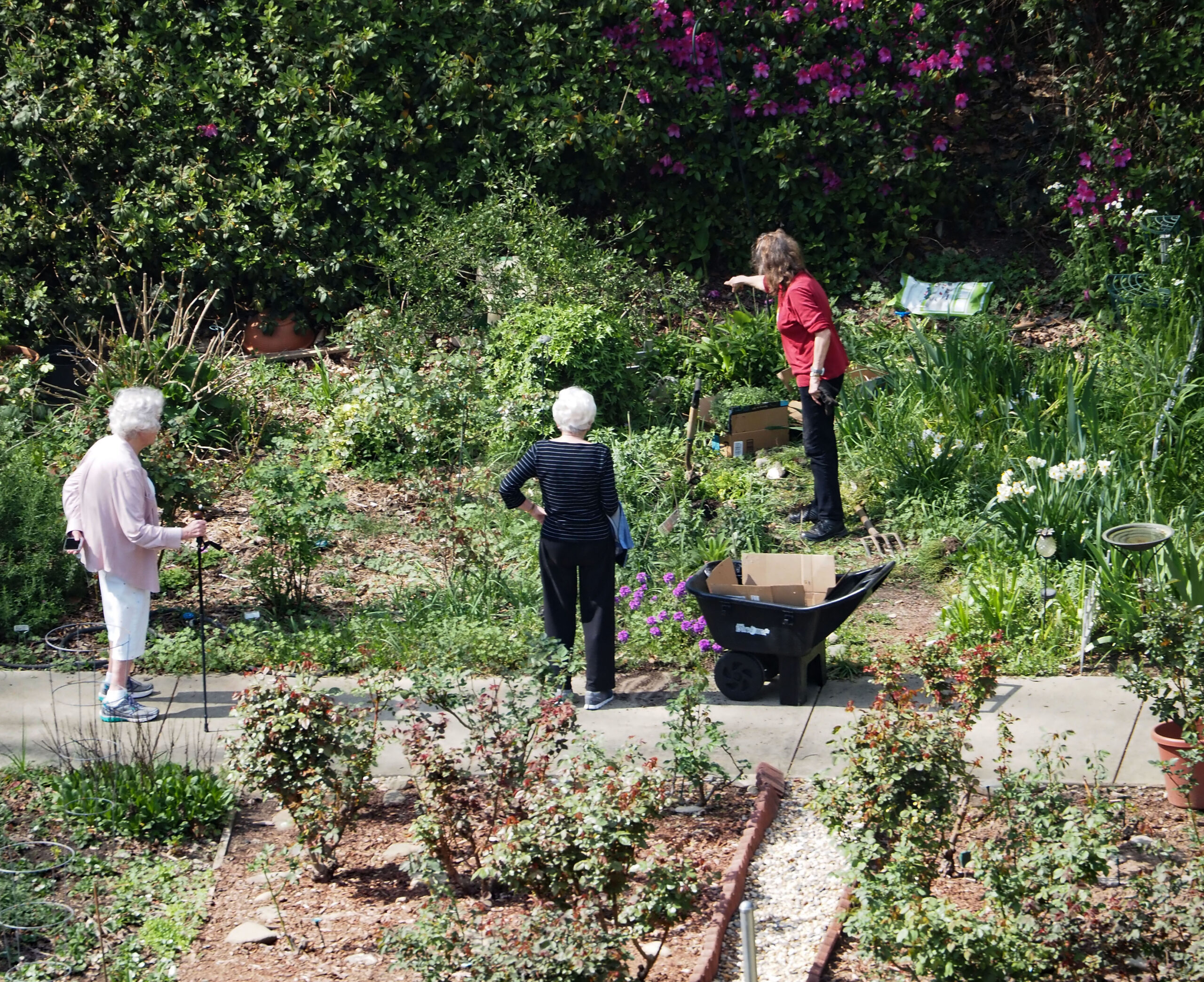 Residents Have a “Growing” Interest in Campus Gardens