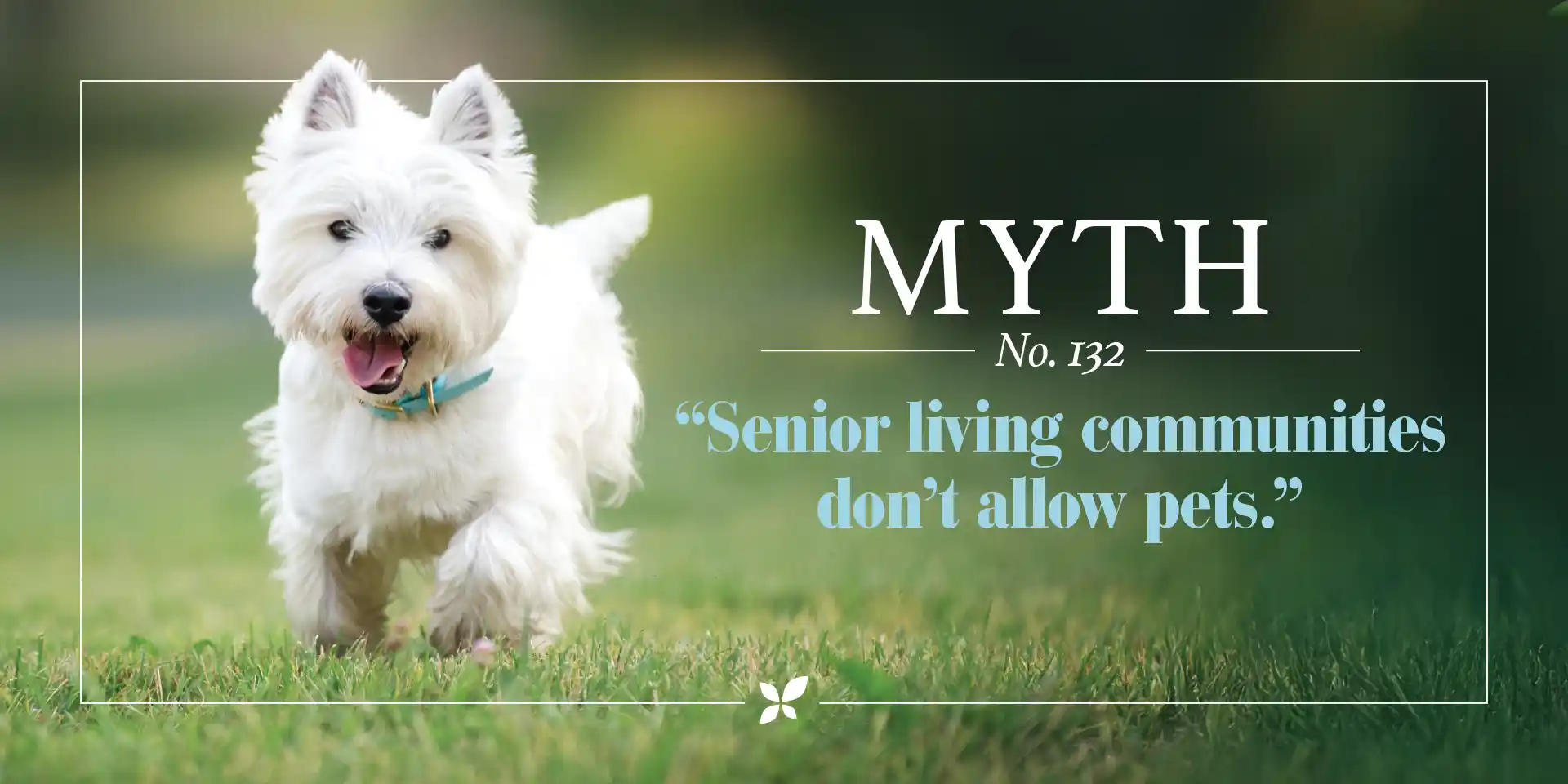 Myth: Senior living communities don't allow pets.