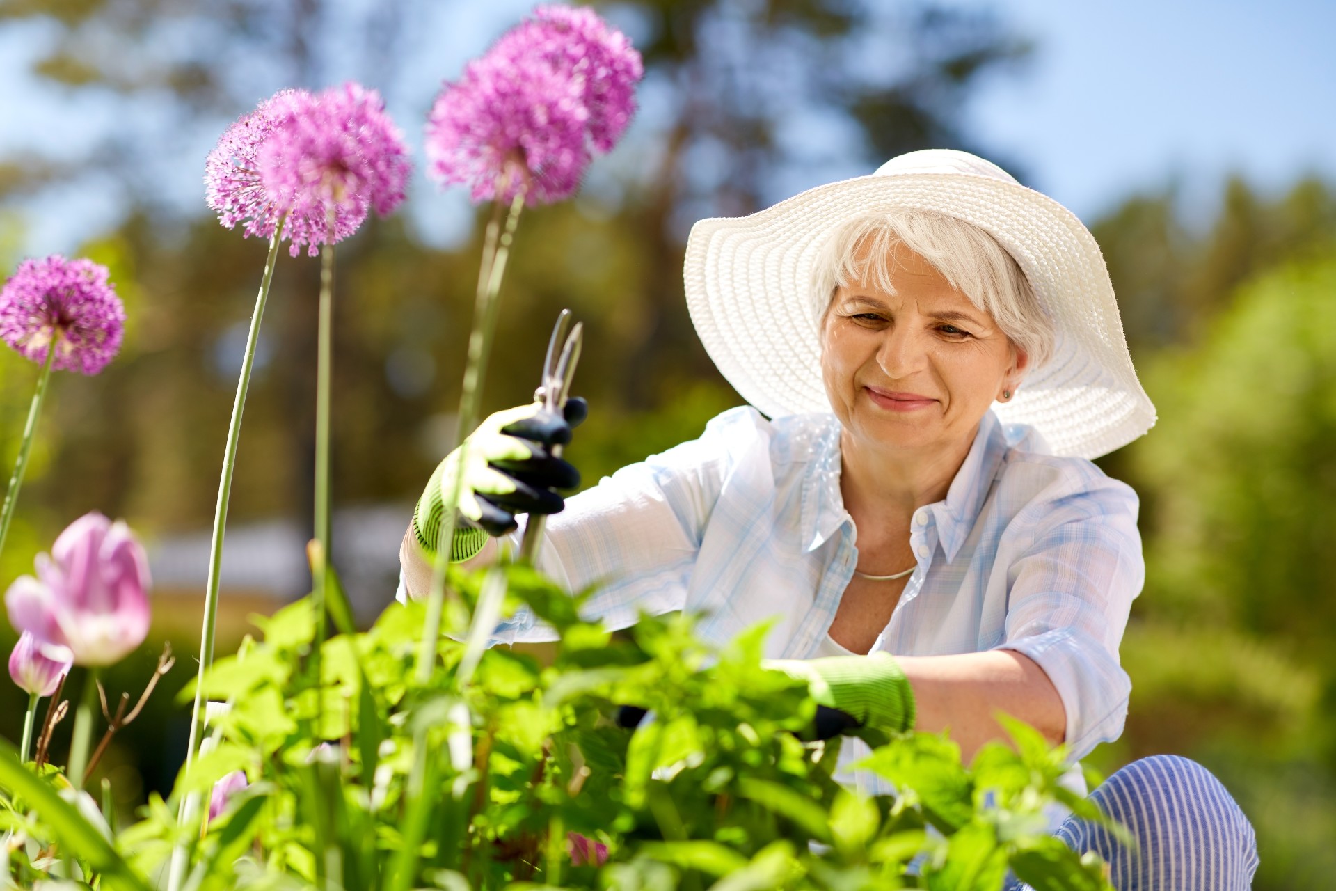 Tips for Beginning Your New Favorite Hobby: Gardening