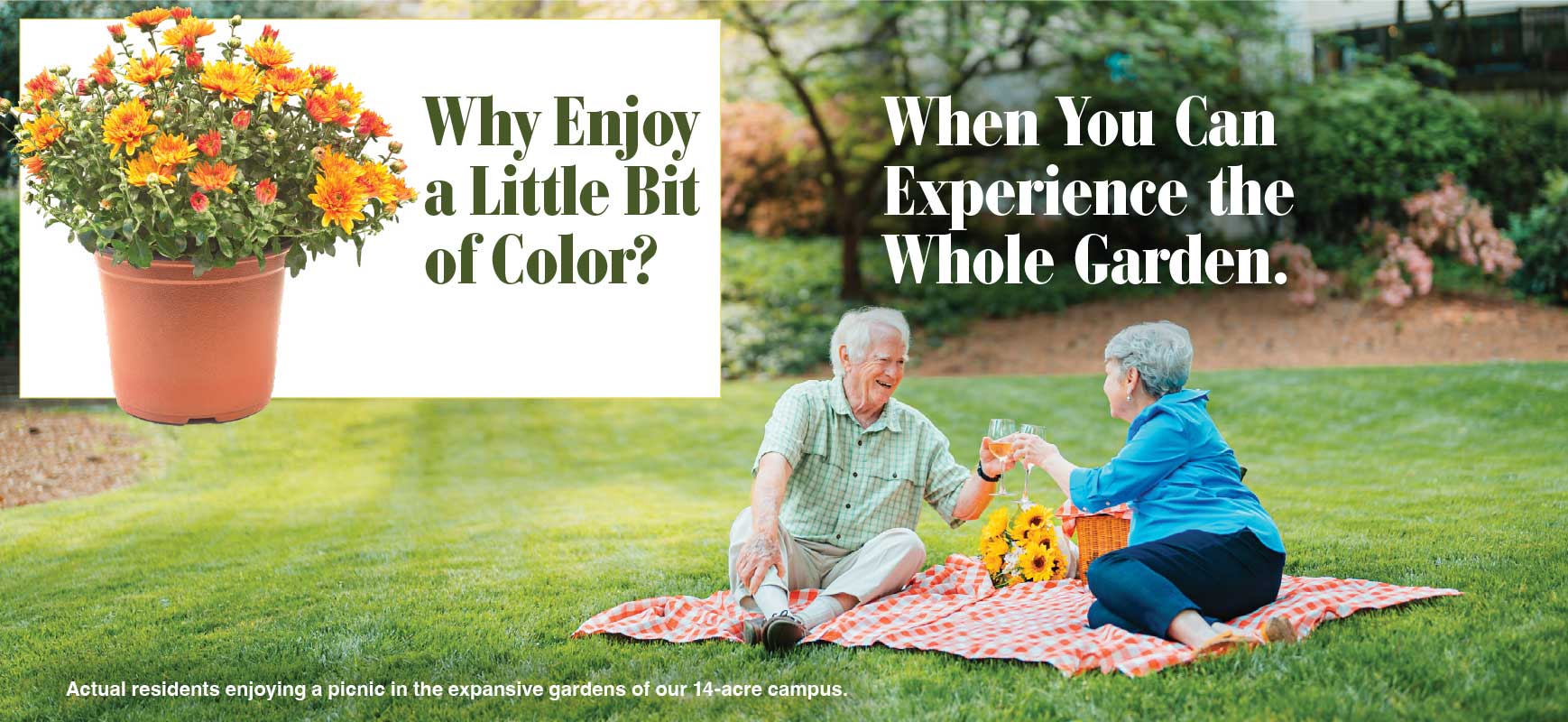 Why enjoy a little bit of color when you can experience a whole garden?